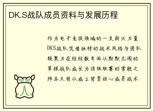 DK.S战队成员资料与发展历程